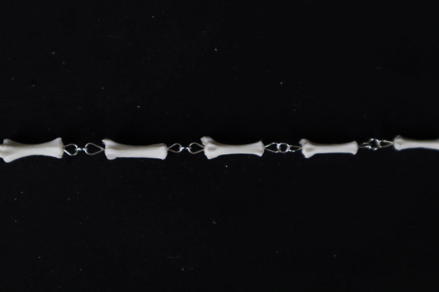 Fluid Domestic Cat Tail Articulation with Ouroboros Ring