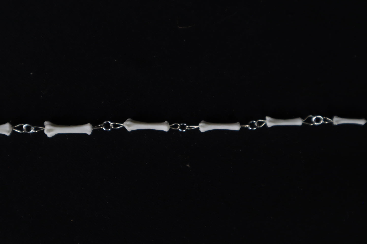Fluid Domestic Cat Tail Articulation with Ouroboros Ring