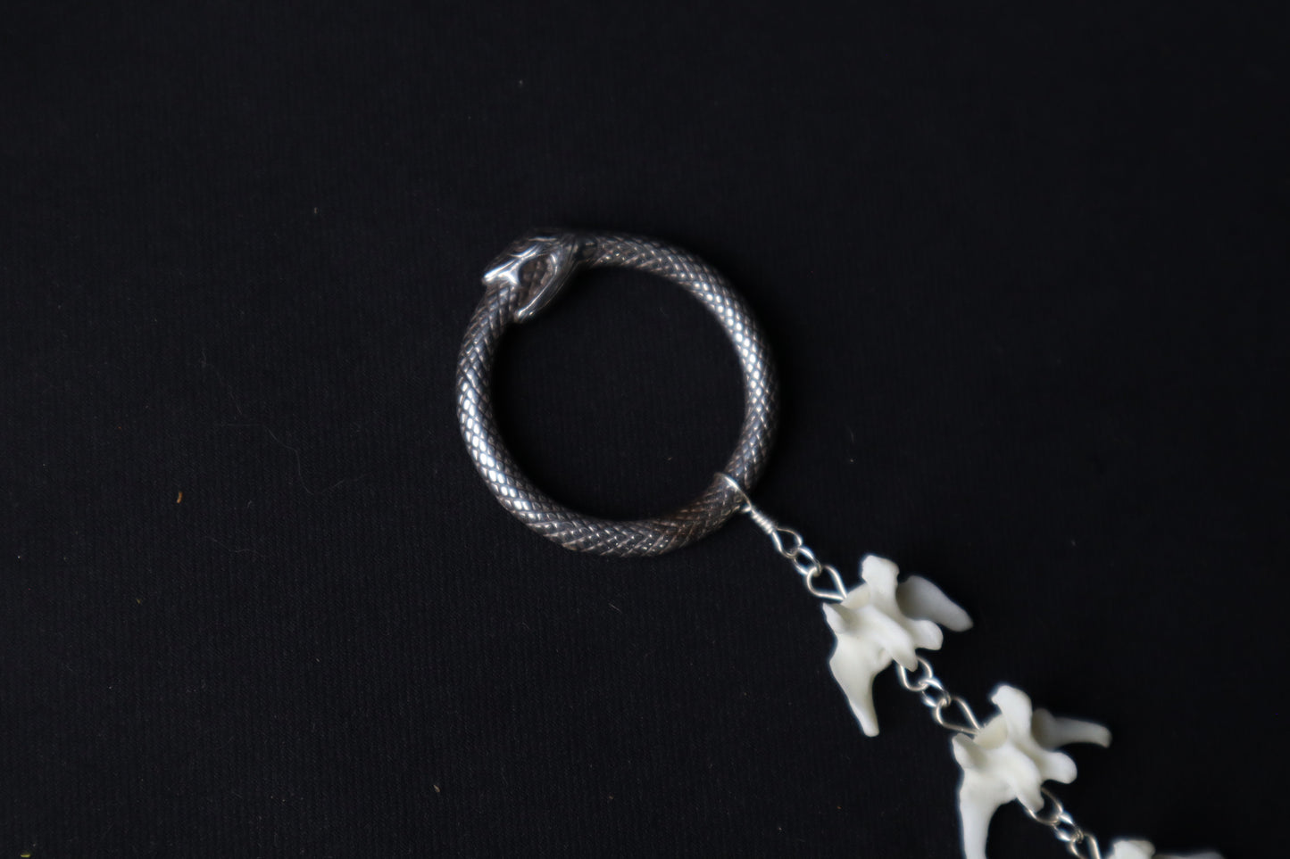 Fluid Domestic Cat Tail Articulation with Ouroboros Ring