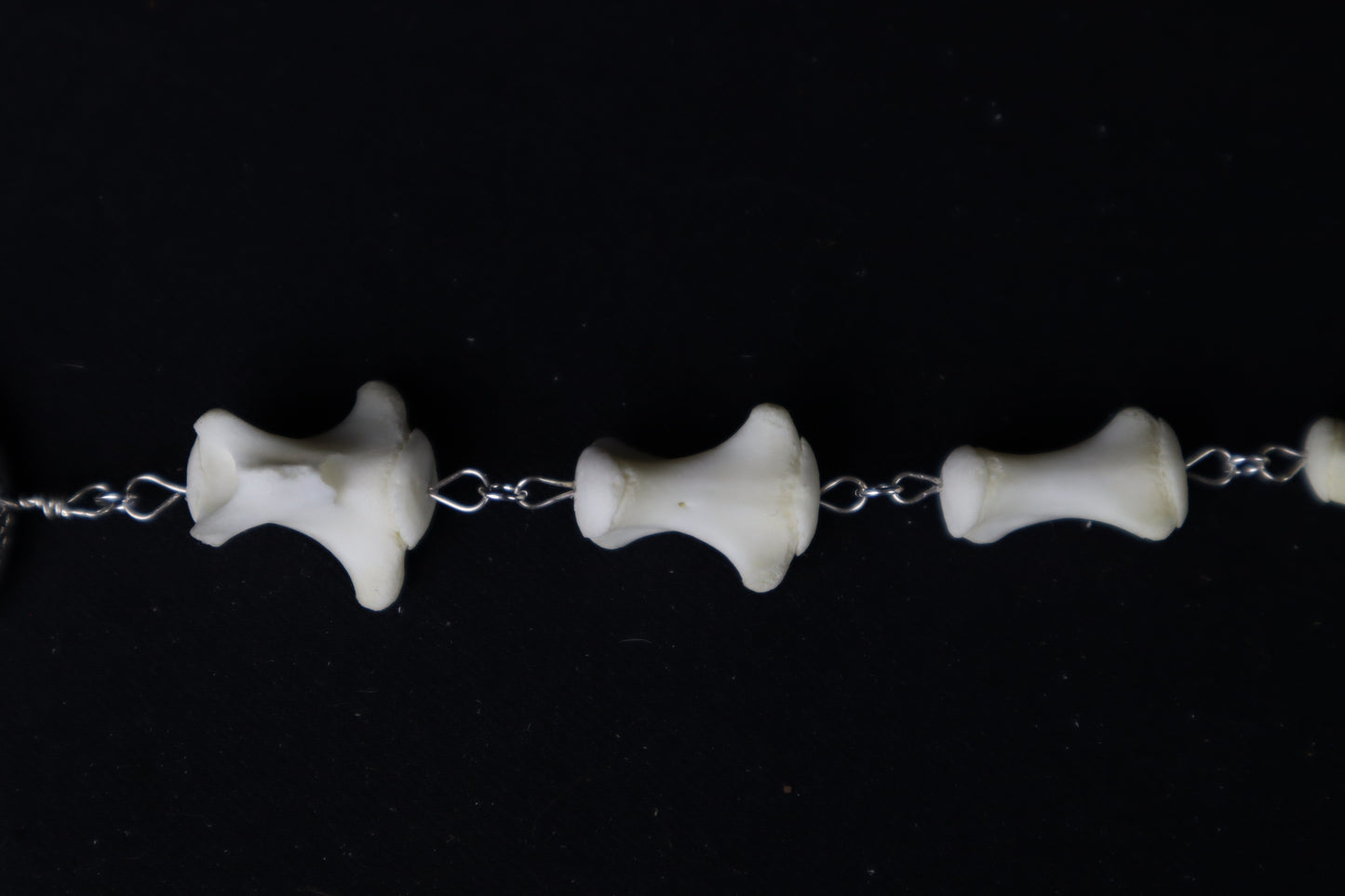 Whitetail Deer Tail Articulation with Ouroboros Ring