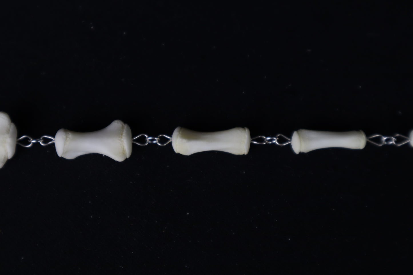 Whitetail Deer Tail Articulation with Ouroboros Ring
