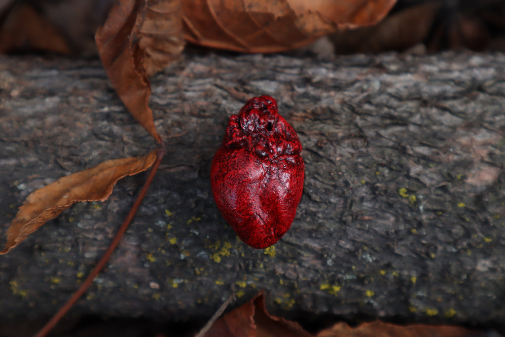 Dry Preserved Rabbit Heart