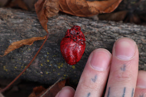 Dry Preserved Rabbit Heart