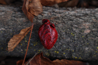 Dry Preserved Rabbit Heart