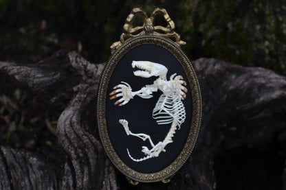 Mole Skeleton Articulation