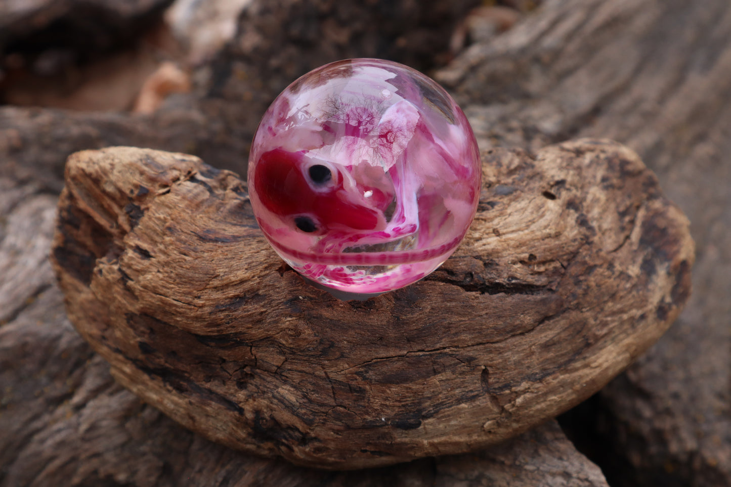 Diaphonized Rat Crystal Ball