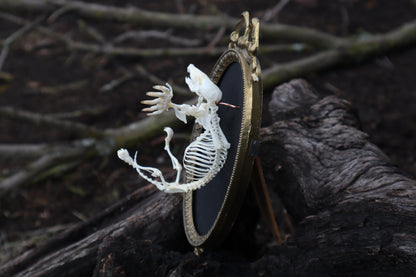 Mole Skeleton Articulation