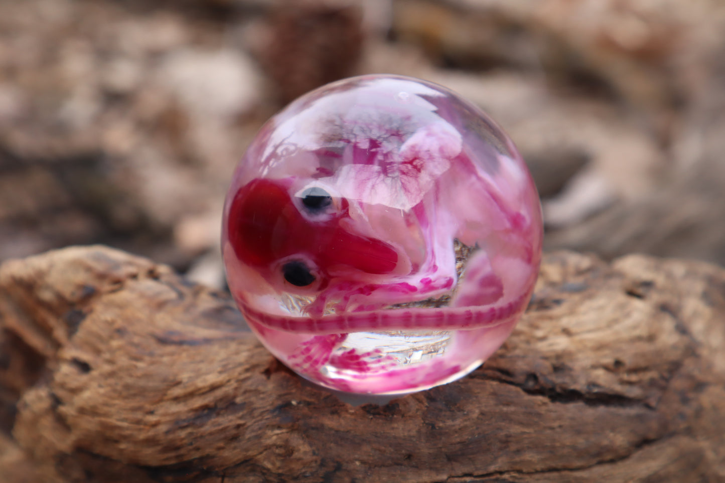 Diaphonized Rat Crystal Ball