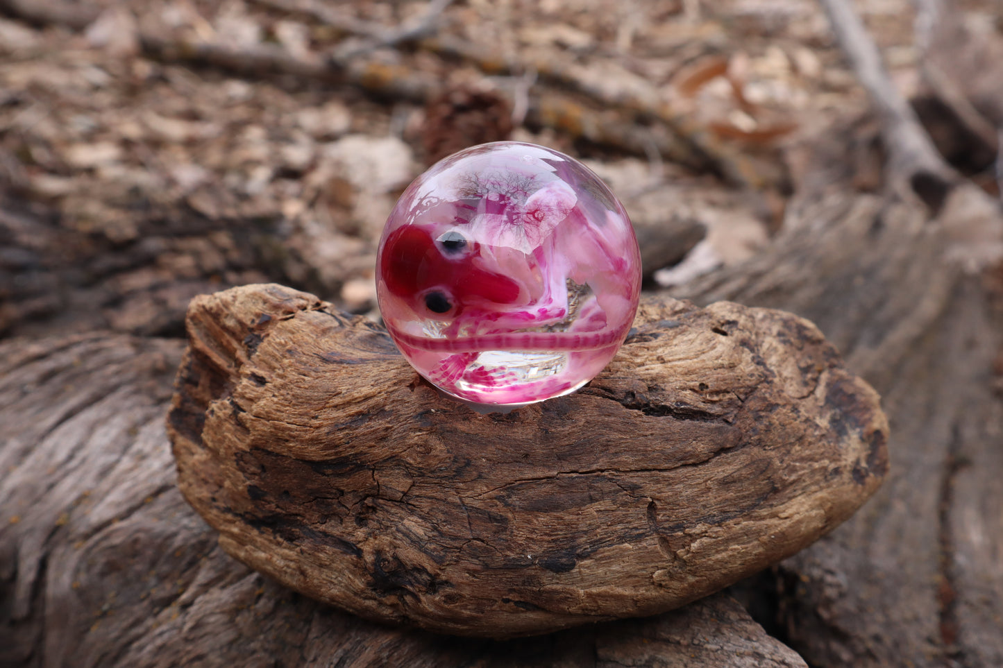 Diaphonized Rat Crystal Ball