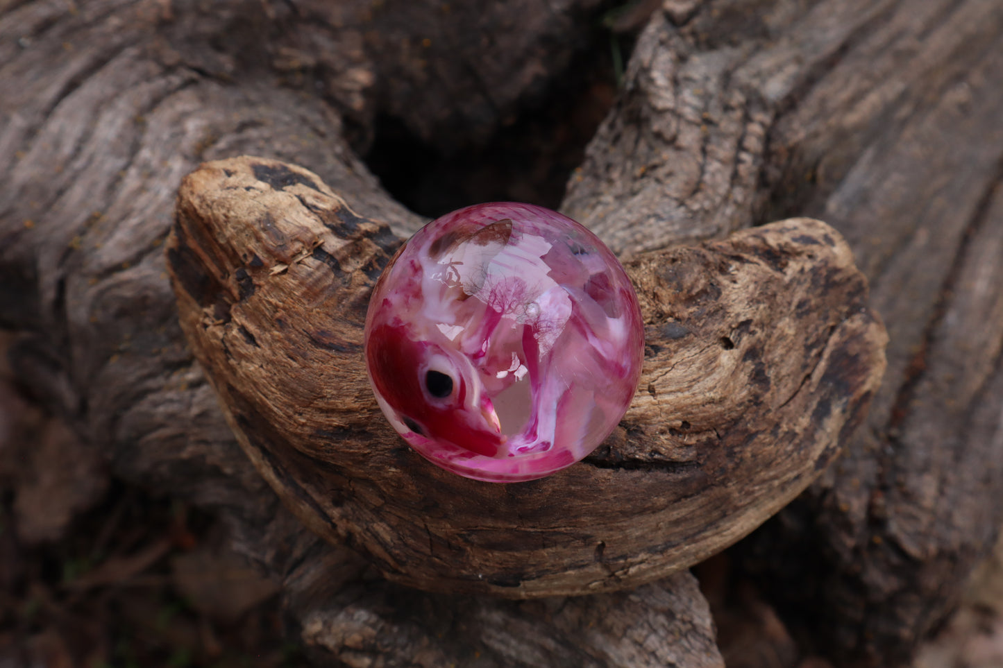 Diaphonized Rat Crystal Ball