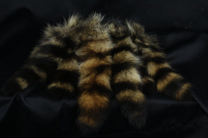 Raccoon Tail