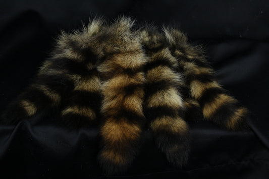 Raccoon Tail