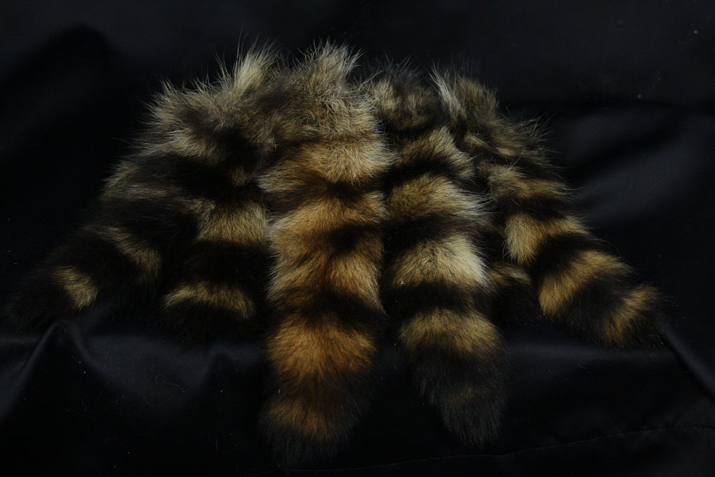 Raccoon Tail