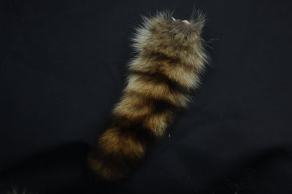 Raccoon Tail