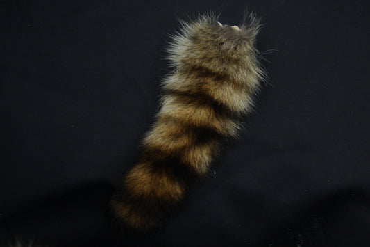 Raccoon Tail