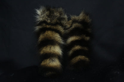 Raccoon Tail