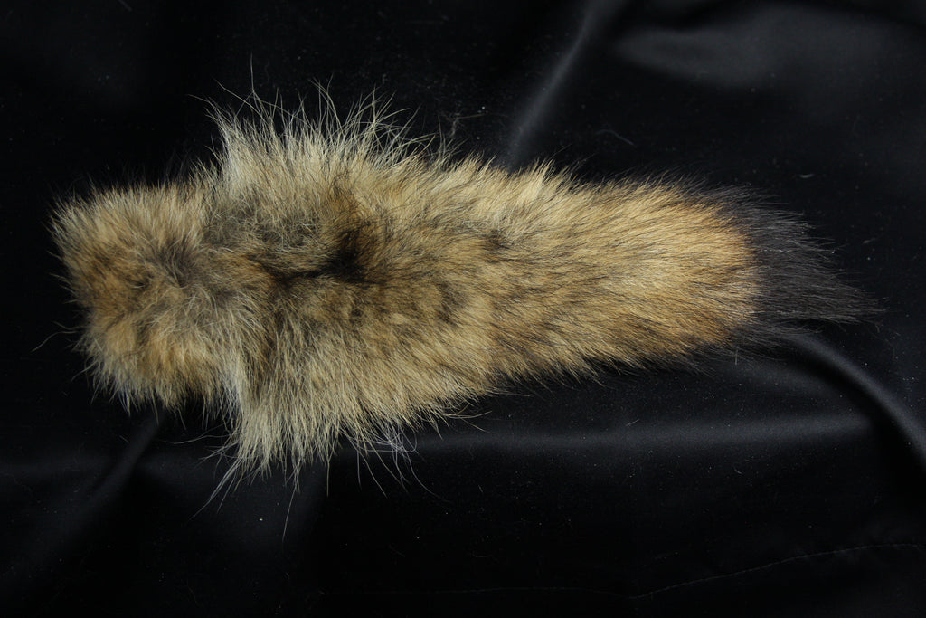 Coyote Tail