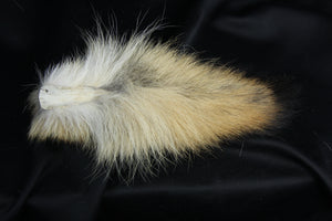 Coyote Tail