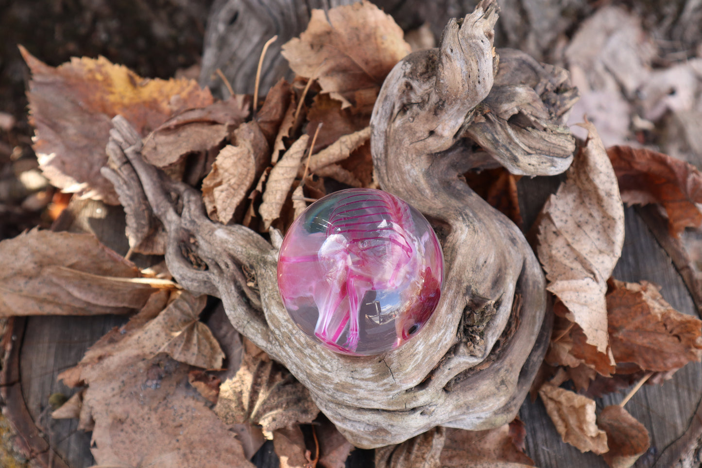 Diaphonized Rat Crystal Ball with Twisted Roots
