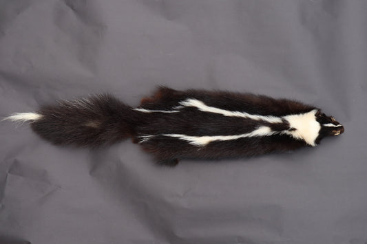 Skunk Wall Hanger