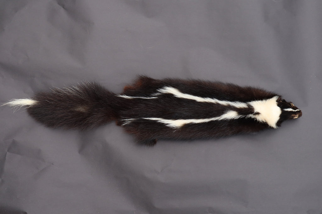 Skunk Wall Hanger