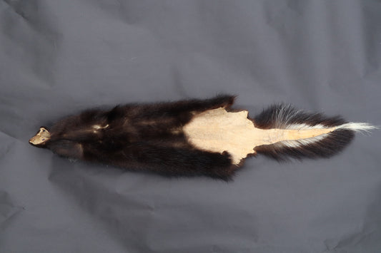 Skunk Wall Hanger