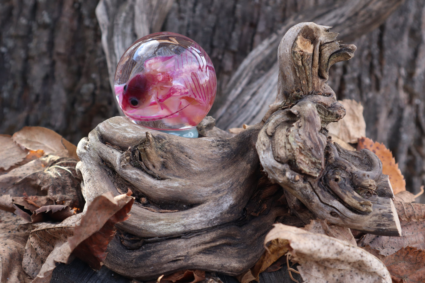 Diaphonized Rat Crystal Ball with Twisted Roots