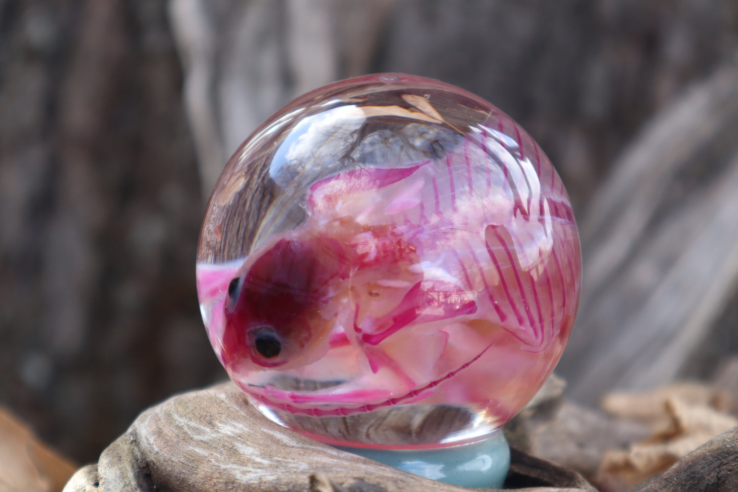 Diaphonized Rat Crystal Ball with Twisted Roots
