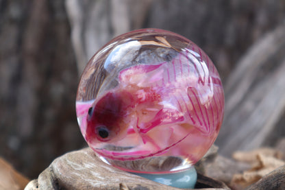 Diaphonized Rat Crystal Ball with Twisted Roots