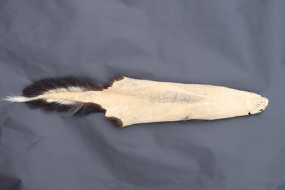 Skunk Wall Hanger