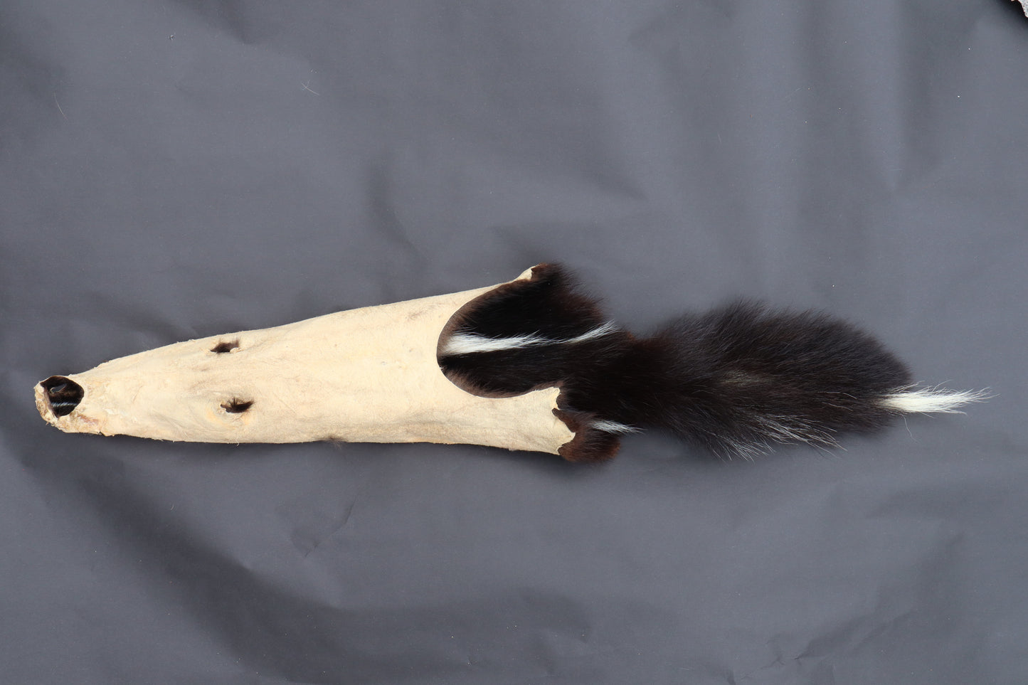 Skunk Wall Hanger