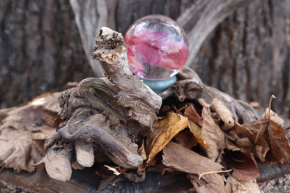 Diaphonized Rat Crystal Ball with Twisted Roots