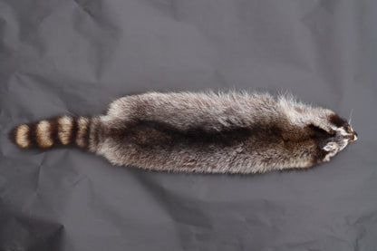Raccoon Wall Hanger