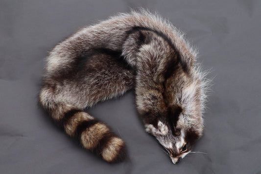 Raccoon Wall Hanger