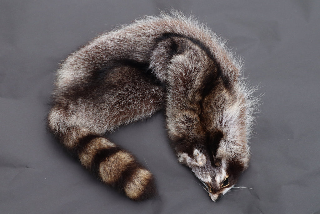 Raccoon Wall Hanger