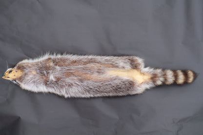 Raccoon Wall Hanger