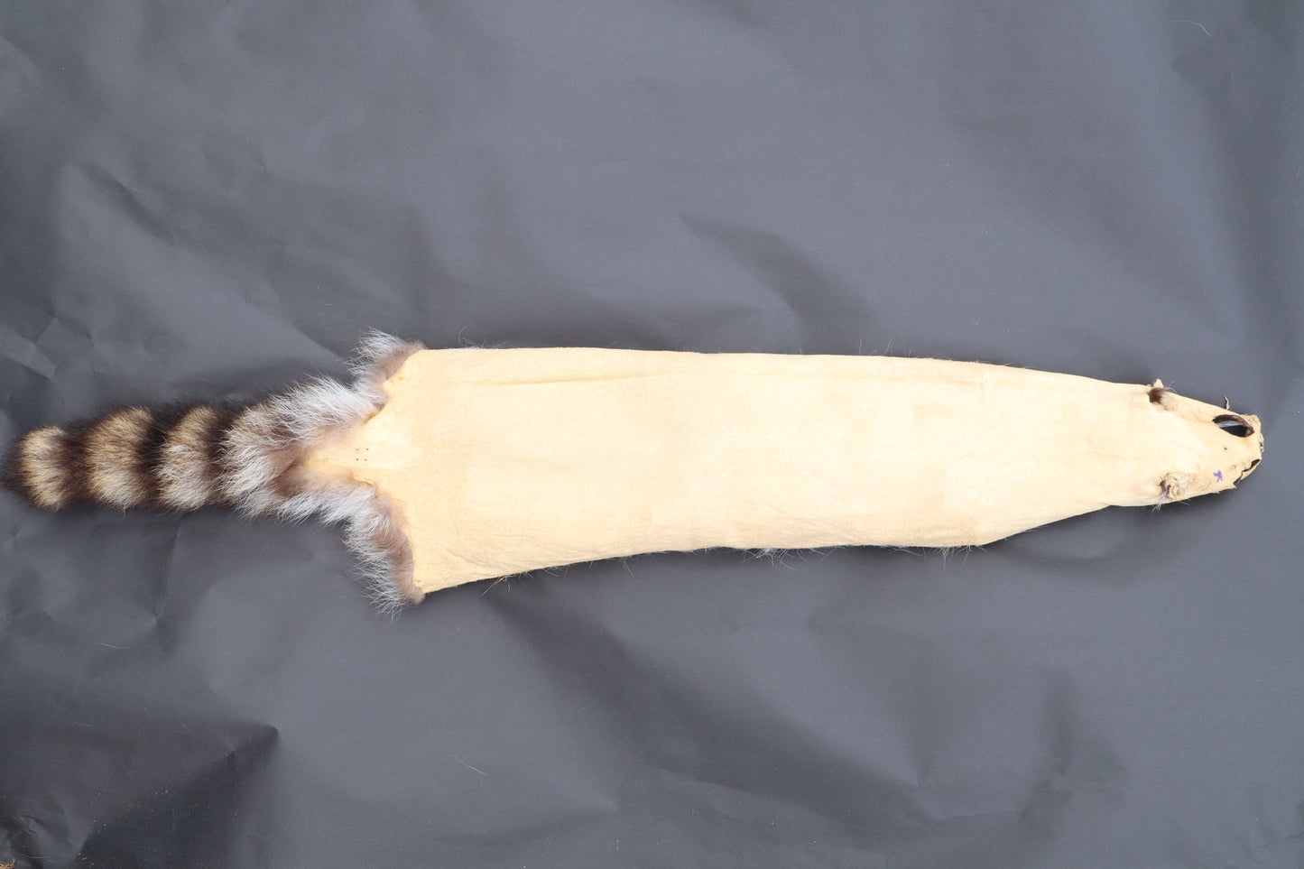 Raccoon Wall Hanger