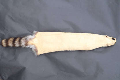 Raccoon Wall Hanger