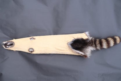 Raccoon Wall Hanger