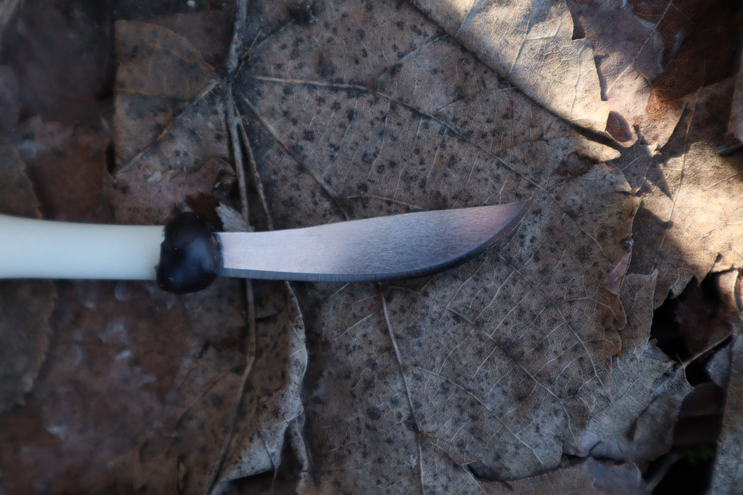 Kitten Femur Knife