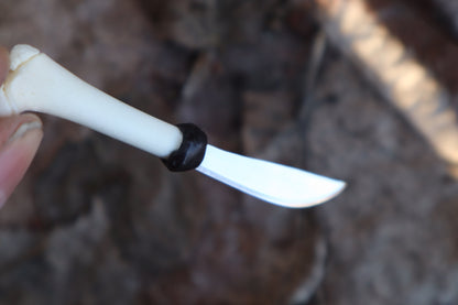 Kitten Femur Knife