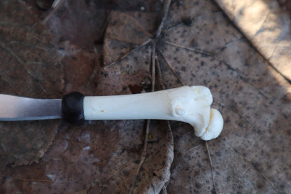 Kitten Femur Knife