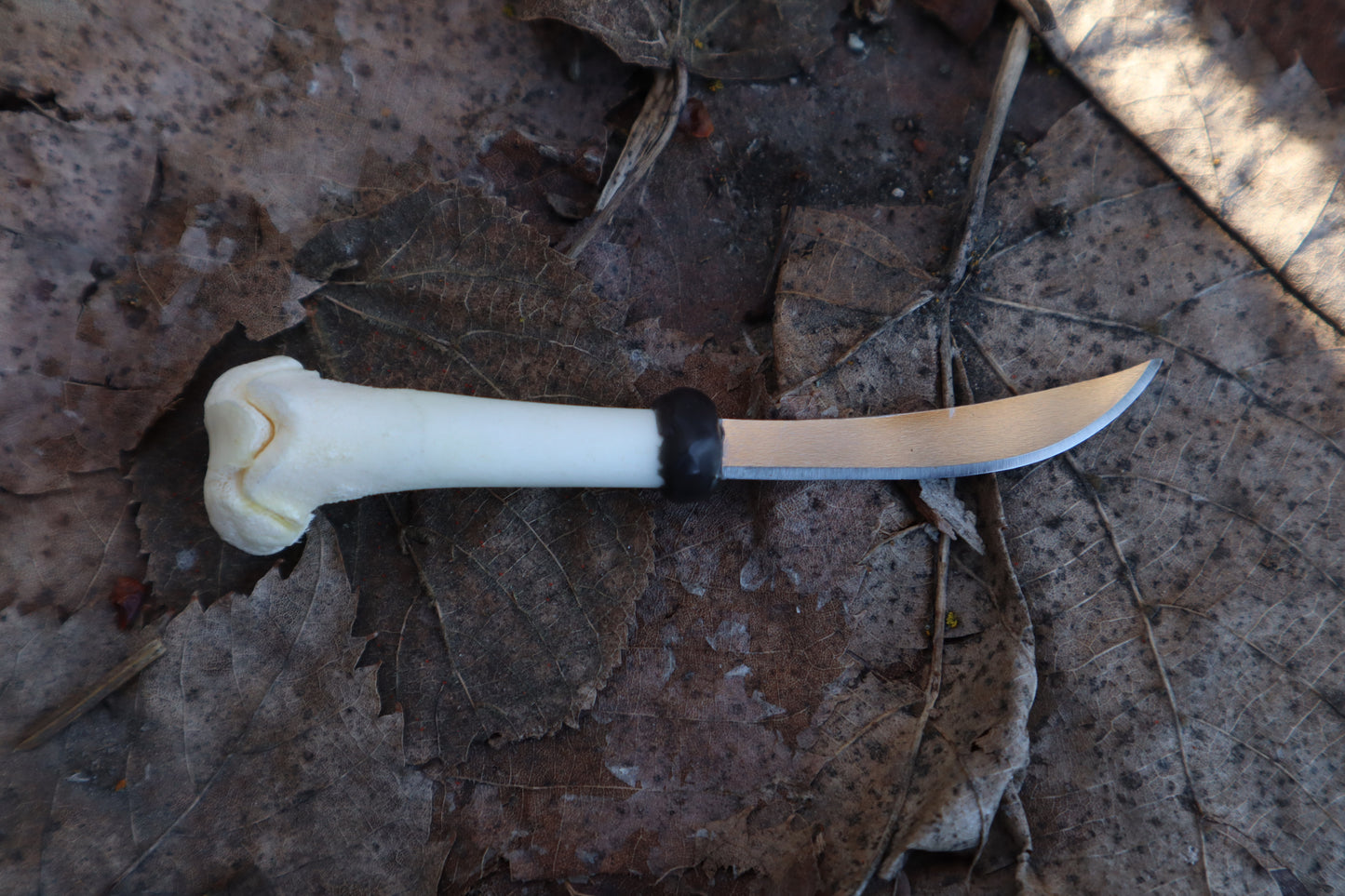 Kitten Femur Knife