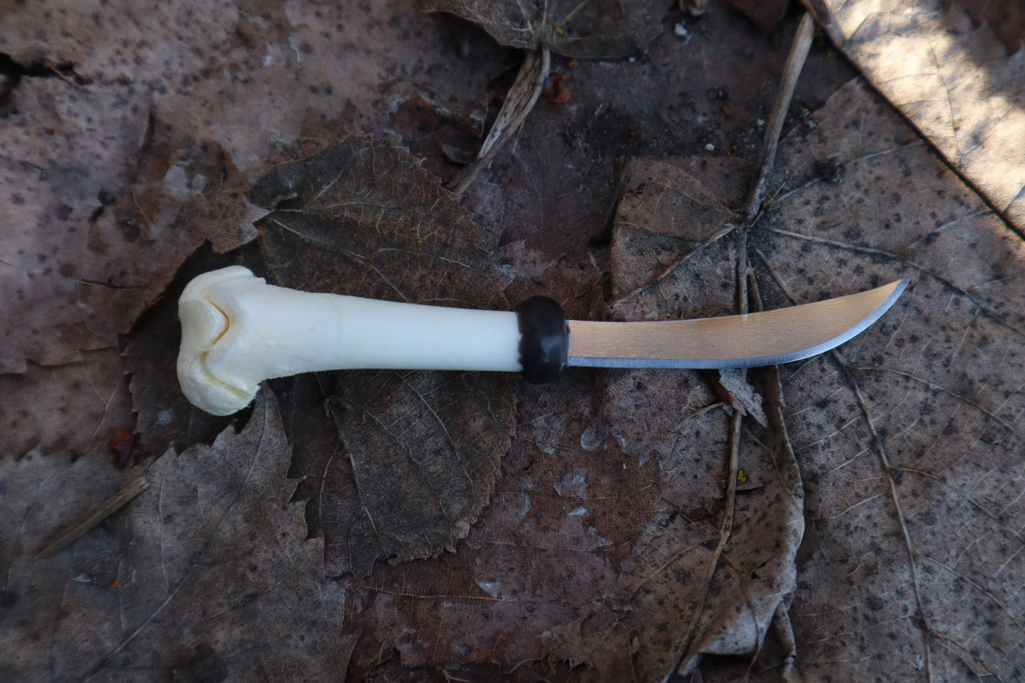 Kitten Femur Knife
