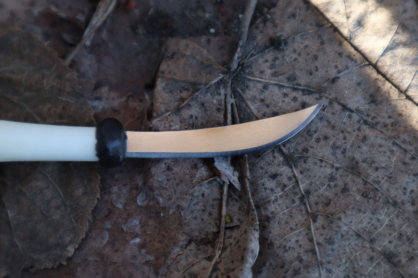Kitten Femur Knife