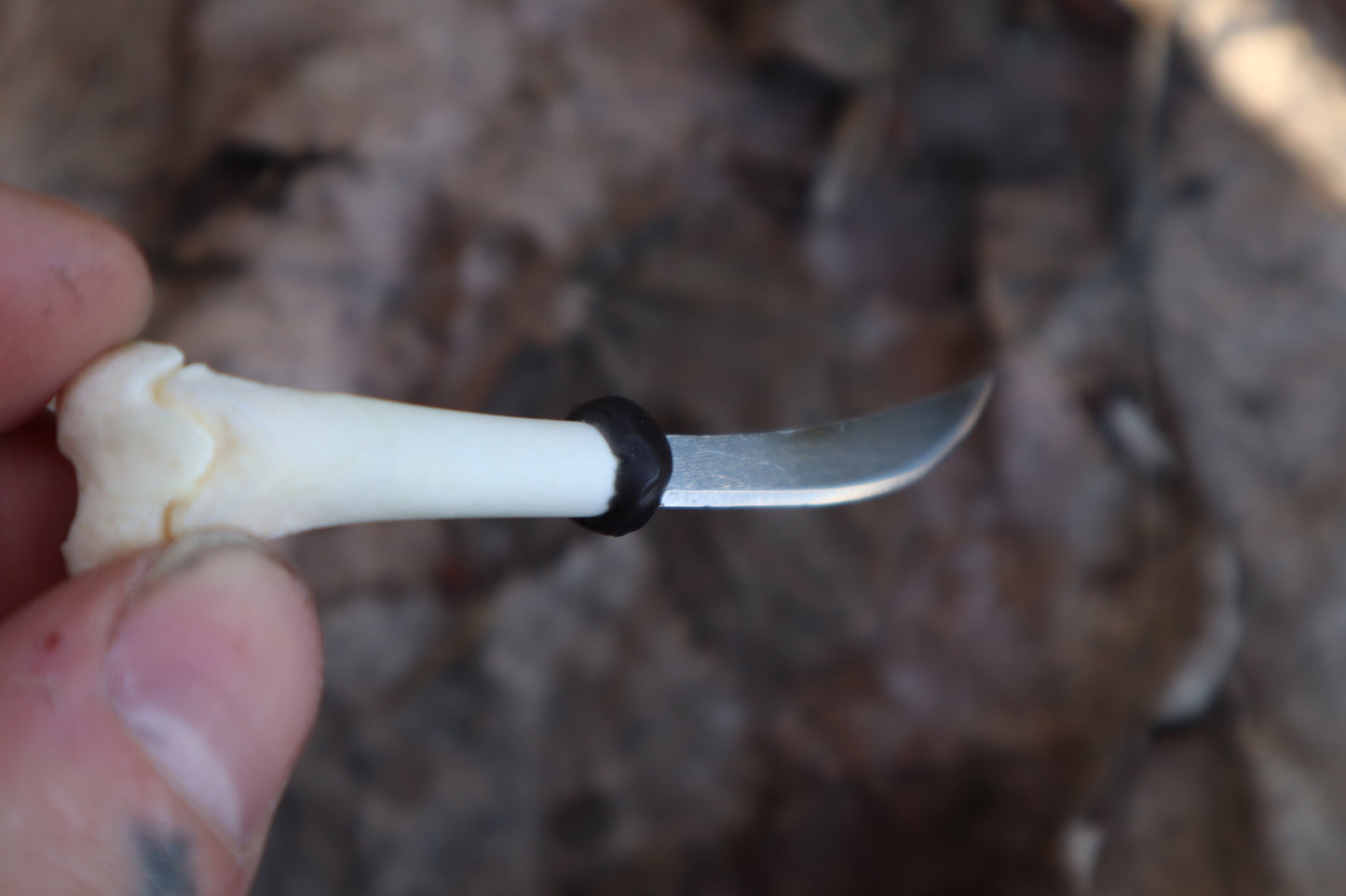 Kitten Femur Knife