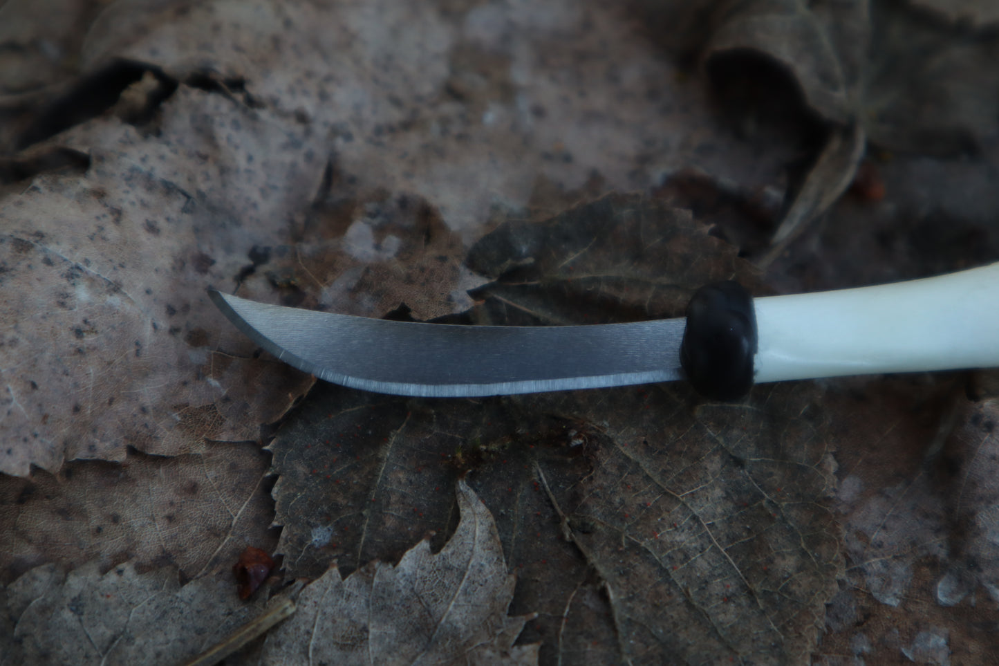 Kitten Femur Knife