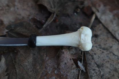 Kitten Femur Knife