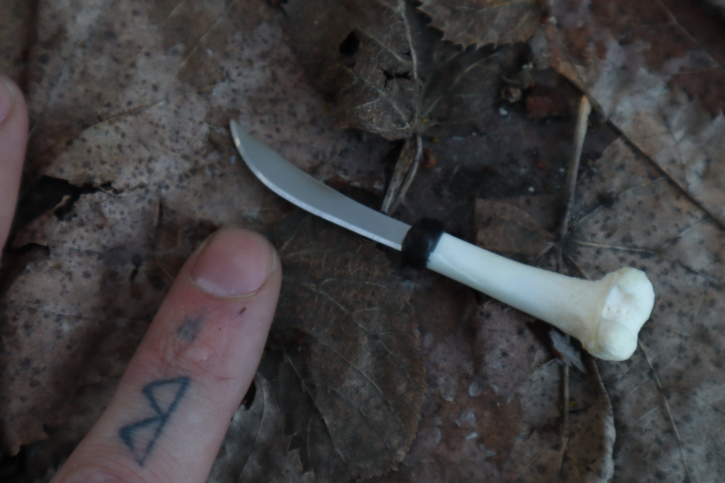 Kitten Femur Knife