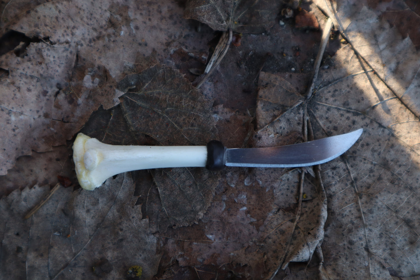 Kitten Tibia Knife